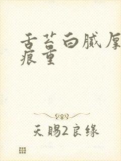 舌苔白腻厚 齿痕重