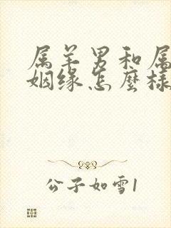 属羊男和属狗女姻缘怎么样