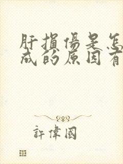 肝损伤是怎么造成的原因有哪些症状