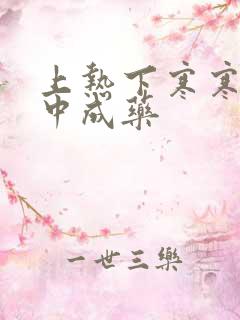 上热下寒寒湿重中成药