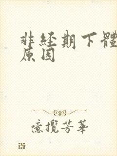 非经期下体出血原因