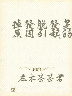 掉发脱发是什么原因引起的