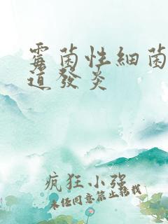 霉菌性细菌的阴道发炎