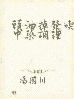 头油掉发吃什么中药调理