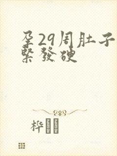 孕29周肚子发紧发硬