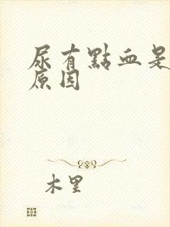 尿有点血是什么原因