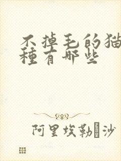 不掉毛的猫咪品种有哪些