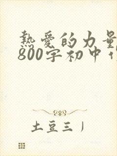 热爱的力量作文800字初中作文