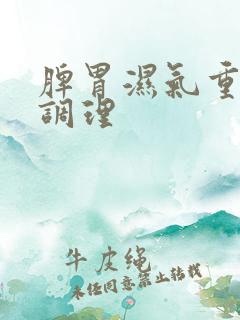 脾胃湿气重怎样调理