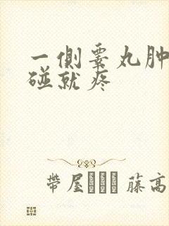 一侧睾丸肿大一碰就疼