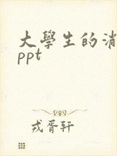 大学生的消费观ppt