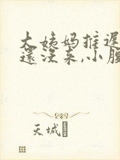 大姨妈推迟两天还没来,小腹有隐隐疼