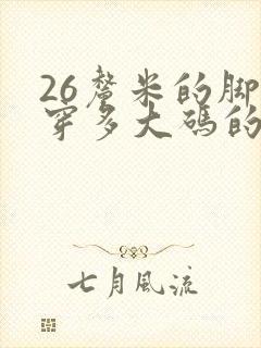 26厘米的脚长穿多大码的鞋