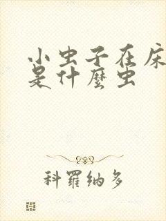 小虫子在床上爬是什么虫