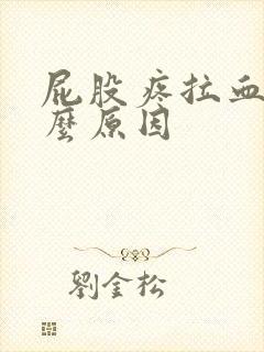 屁股疼拉血是什么原因