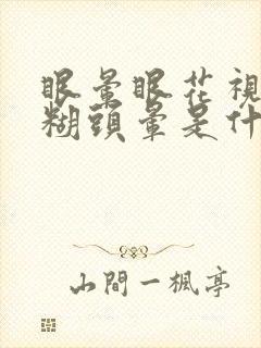 眼晕眼花视力模糊头晕是什么原因