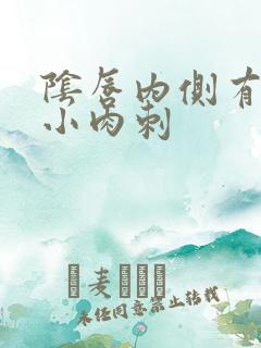 阴唇内侧有好多小肉刺