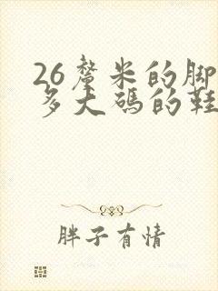 26厘米的脚穿多大码的鞋