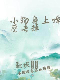 小狗身上蜱虫怎么去掉