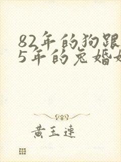 82年的狗跟75年的兔婚姻相配吗