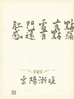 肛门处有点下坠感还有点痛什么原因