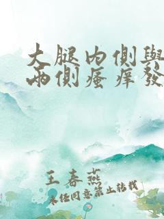 大腿内侧与阴囊两侧瘙痒发黑用什么药