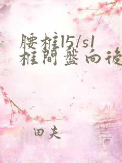 腰椎l5/s1椎间盘向后突出