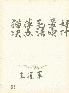 猫掉毛最好的解决办法吃什么