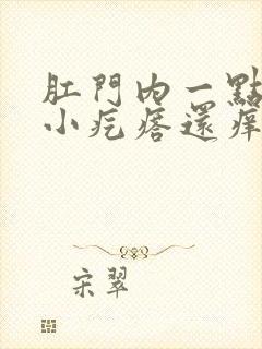 肛门内一点有个小疙瘩还痒