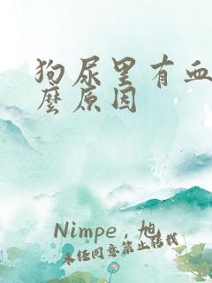 狗尿里有血是什么原因