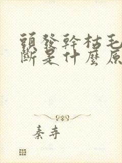 头发干枯毛躁易断是什么原因