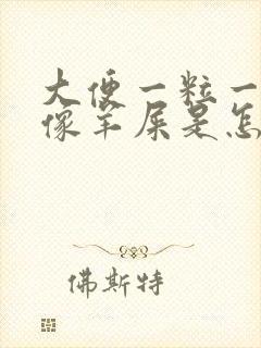 大便一粒一粒的像羊屎是怎么回事