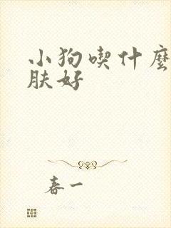 小狗吃什么对皮肤好