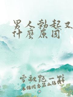 男人勃起又软了什么原因