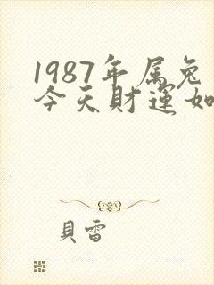 1987年属兔今天财运如何