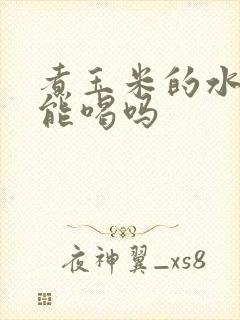 煮玉米的水小孩能喝吗