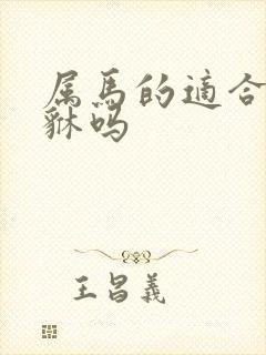 属马的适合带貔貅吗