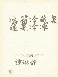 冰箱冷藏是保鲜还是冷冻