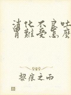 消化不良吐完了胃难受怎么办