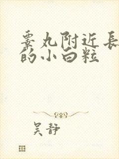 睾丸附近长白色的小白粒