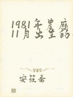 1981年农历11月出生的鸡命运