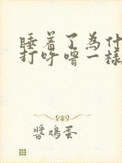 睡着了为什么会打呼噜一样