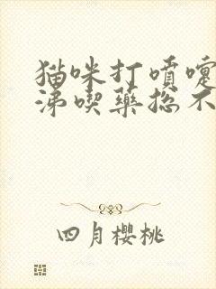 猫咪打喷嚏流鼻涕吃药总不好 怎么办