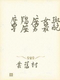 摩羯座女与什么星座男最配