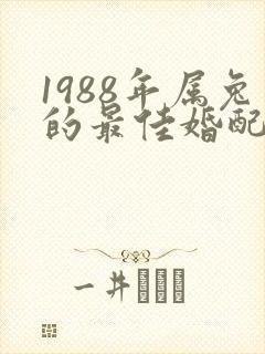 1988年属兔的最佳婚配属相