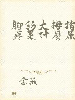 脚的大拇指关节疼是什么原因引起的