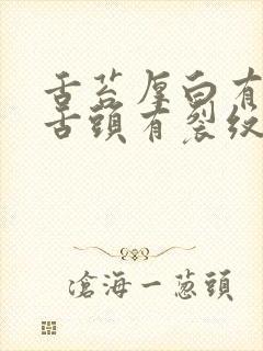 舌苔厚白有齿痕舌头有裂纹