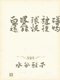 白眼球被碰出血还能恢复吗