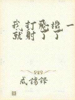 我打飞机一分钟就射了了