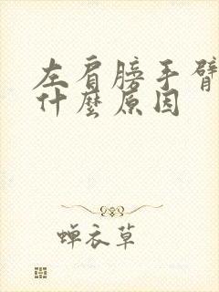 左肩膀手臂酸痛什么原因